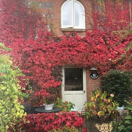 Вилла The Dovecote, Stoke Farthing Courtyard Broad Chalke Экстерьер фото