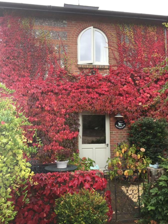 Вилла The Dovecote, Stoke Farthing Courtyard Broad Chalke Экстерьер фото