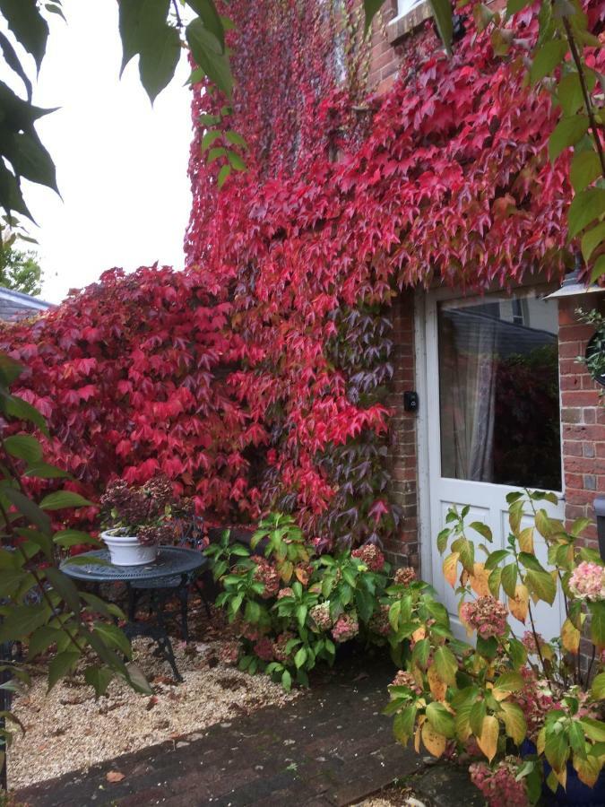 Вилла The Dovecote, Stoke Farthing Courtyard Broad Chalke Экстерьер фото